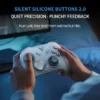 Flydigi Direwolf 4 Wireless Controller