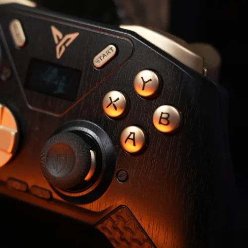 Flydigi APEX 4 Wukong Edition Wireless Controller