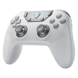 AAA Machenike F1 Controller