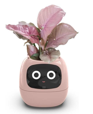 Smart Flowerpots