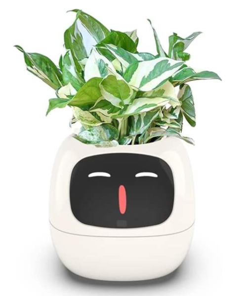 Smart Flowerpots