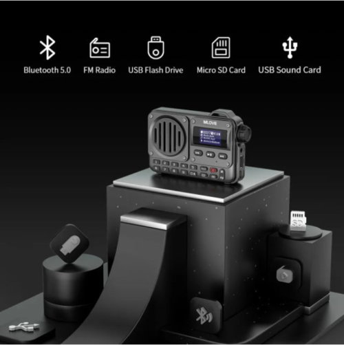 MLOVE BV800 Portable Bluetooth Speaker with FM Radio & LCD