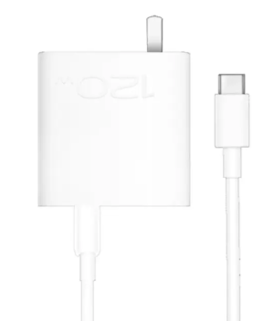  Vivo 120W Fast Charge Adapter