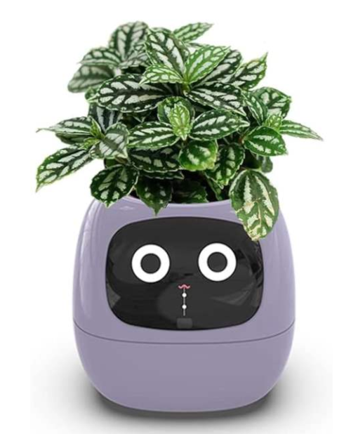 Smart Flowerpots