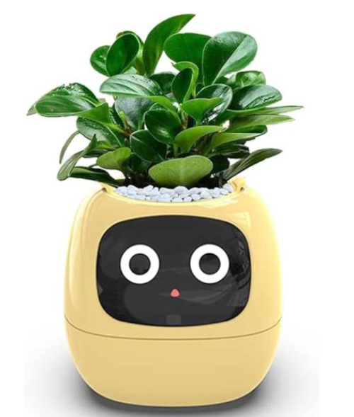 Smart Flowerpots