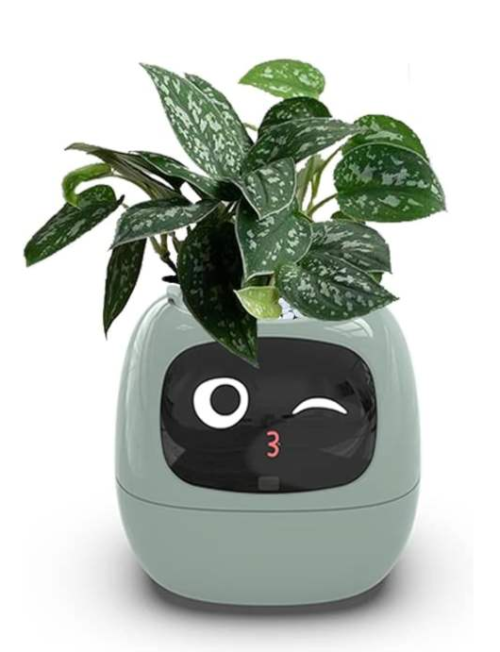 Smart Flowerpots