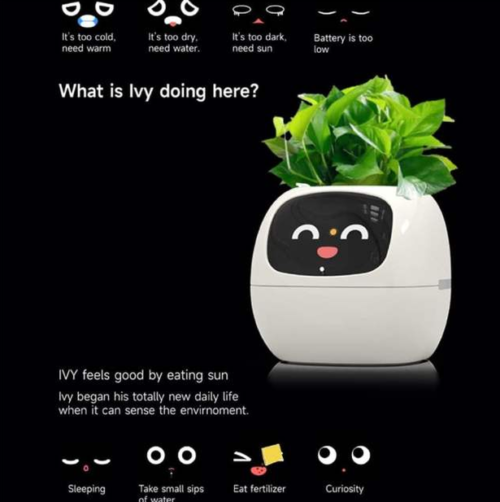 Smart Flowerpots