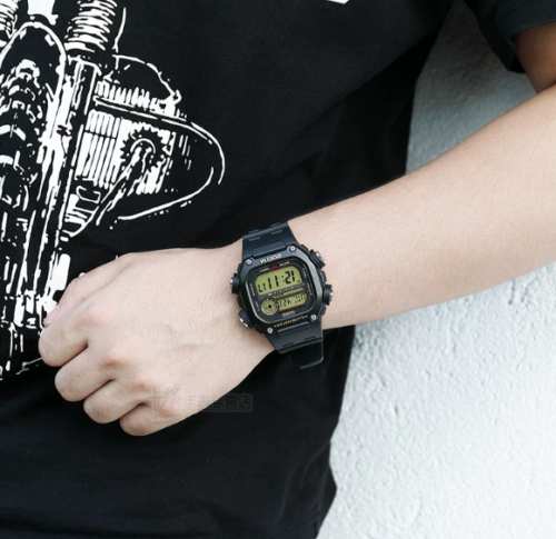 Casio DW-291H Serise G-Shock Watch 