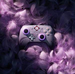 8BitDo Ultimate 2 Wireless Controller