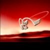 Screenshot 2026 NEW SHOKZ OpenRun Pro 2S Sports Earphones