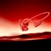 Screenshot 2026 NEW SHOKZ OpenRun Pro 2S Sports Earphones