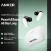 Anker Soundcore P30i Bluetooth Earphones