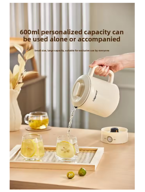 220V Geligao Portable Stainless Steel Travel Kettle