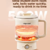 220V Geligao Portable Stainless Steel Travel Kettle