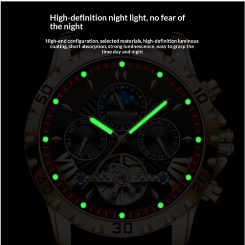 POEDAGAR Men Luxury Automatic Mechanical Watch Business Men's Wristwatch