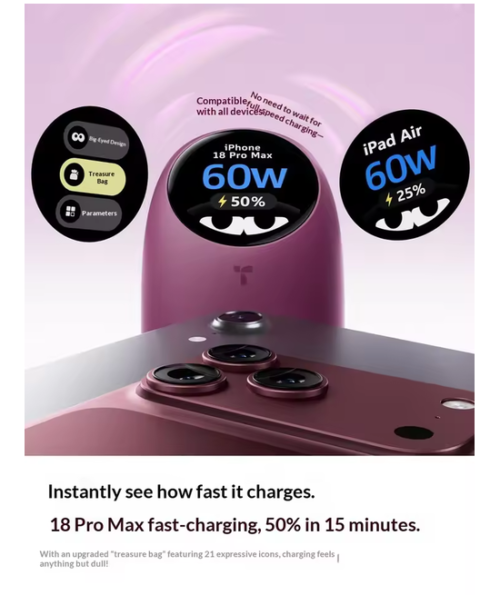 TORRAS 60W Digital Display GaN Fast Charger
