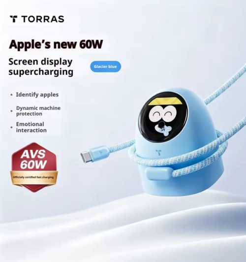 TORRAS 60W Digital Display GaN Fast Charger