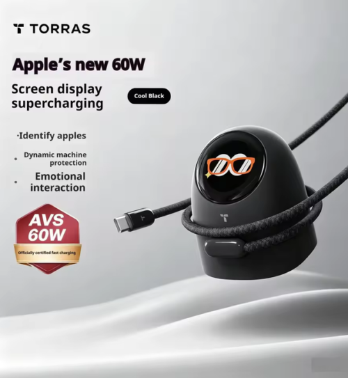 TORRAS 60W Digital Display GaN Fast Charger