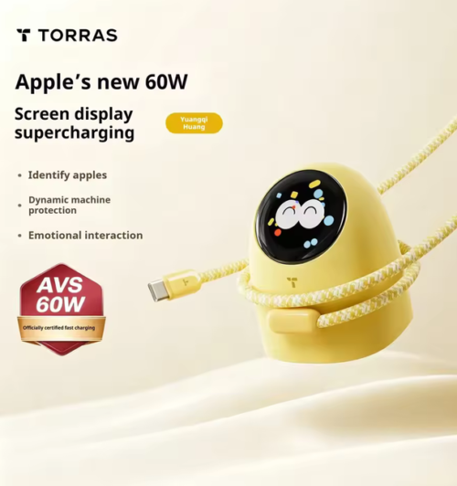 TORRAS 60W Digital Display GaN Fast Charger