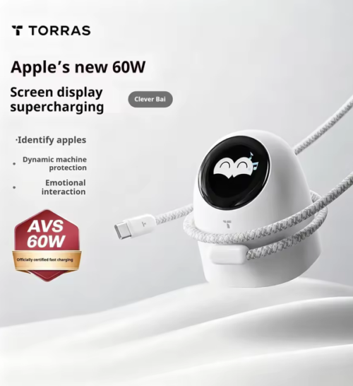 TORRAS 60W Digital Display GaN Fast Charger