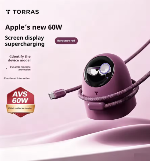 TORRAS 60W Digital Display GaN Fast Charger